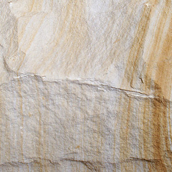 piaskowiec boniowaty